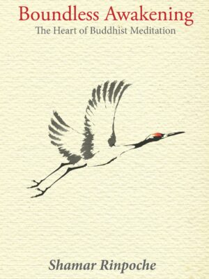 Boundless Awakening<br>1st Edition (2013)