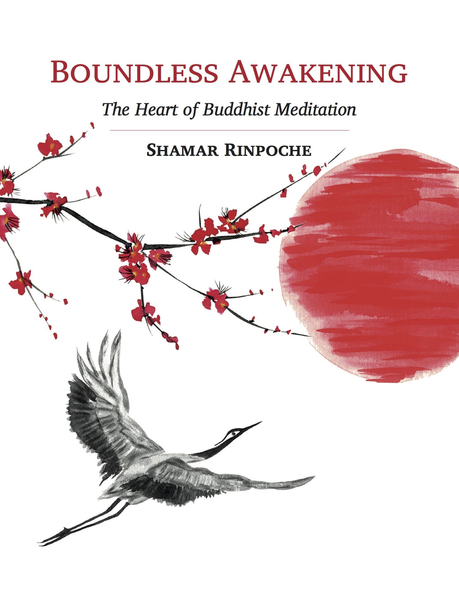 Boundless Awakening 2nd Ed Cover