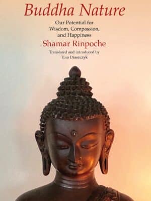 Buddha Nature 1st Edition