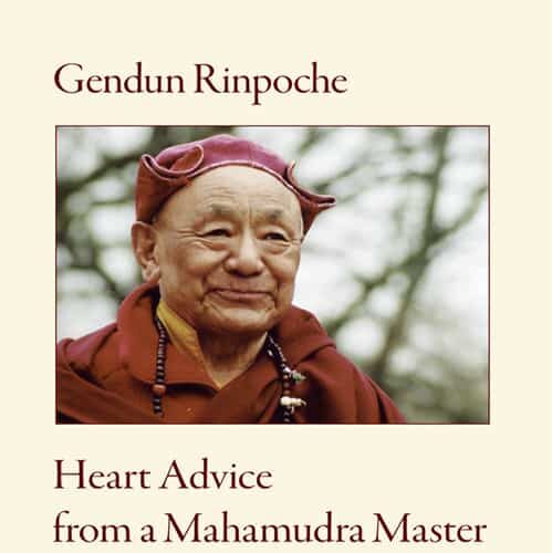 Book cover of Heart Advice from a Mahamudra Master