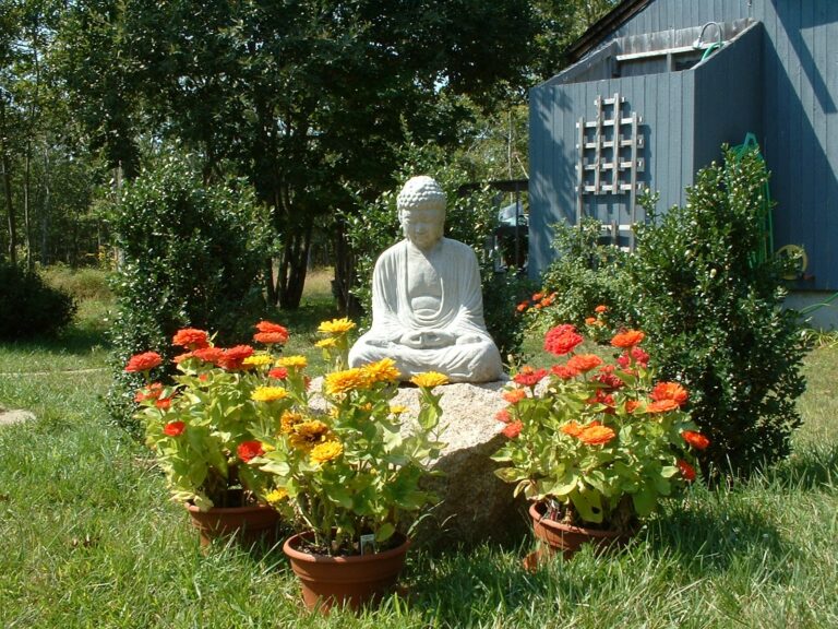 MV White Buddha in Garden