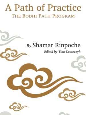 Path of Practice Cover