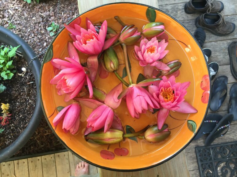 Teachings Side Photo-IMG_2183