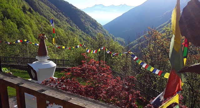 Bodhi Path Bordo Header