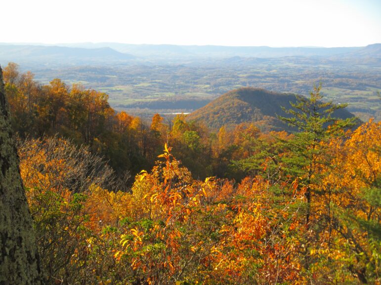 Virginia USA Mountains and Forest